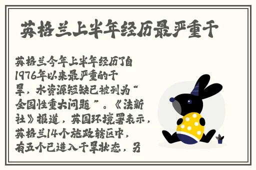 黑人双人RAPPER的特点